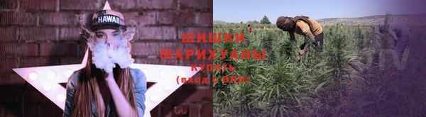 PSILOCYBIN Балабаново