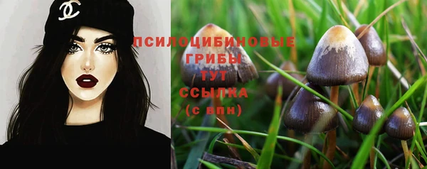 PSILOCYBIN Балабаново