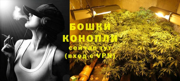 PSILOCYBIN Балабаново