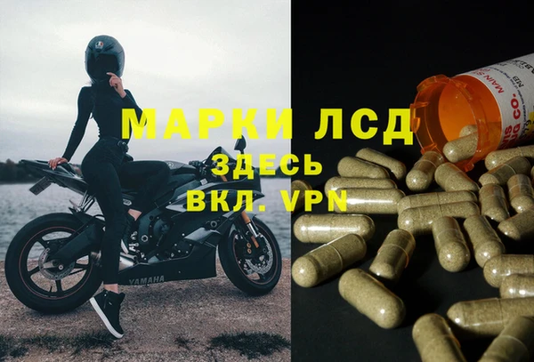 PSILOCYBIN Балабаново